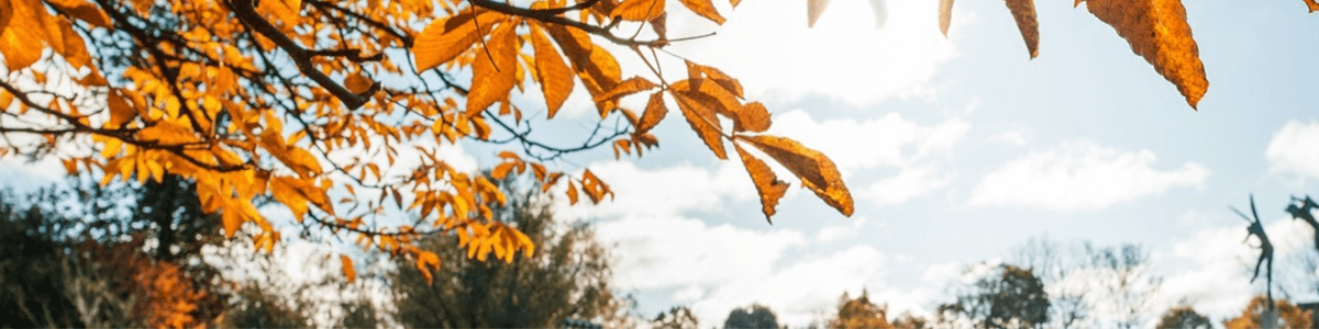 Gävle kommun banner