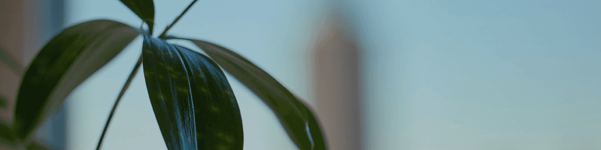 Tredje AP-fonden banner